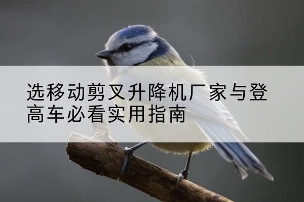 桦南电动升降机厂家-选移动剪叉升降机厂家与登高车必看实用指南