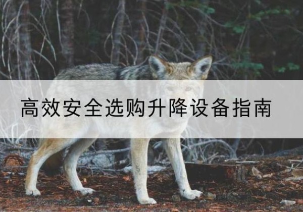 桦南升降货梯厂家推荐-*安全选购升降设备指南