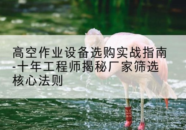 桦南剪叉式升降机厂家-高空作业设备选购实战指南-十年工程师揭秘厂家筛选核心法则